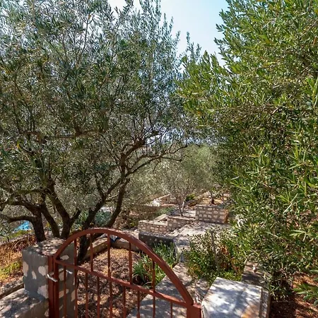 Apartmán With Beautiful Sea View Terrase